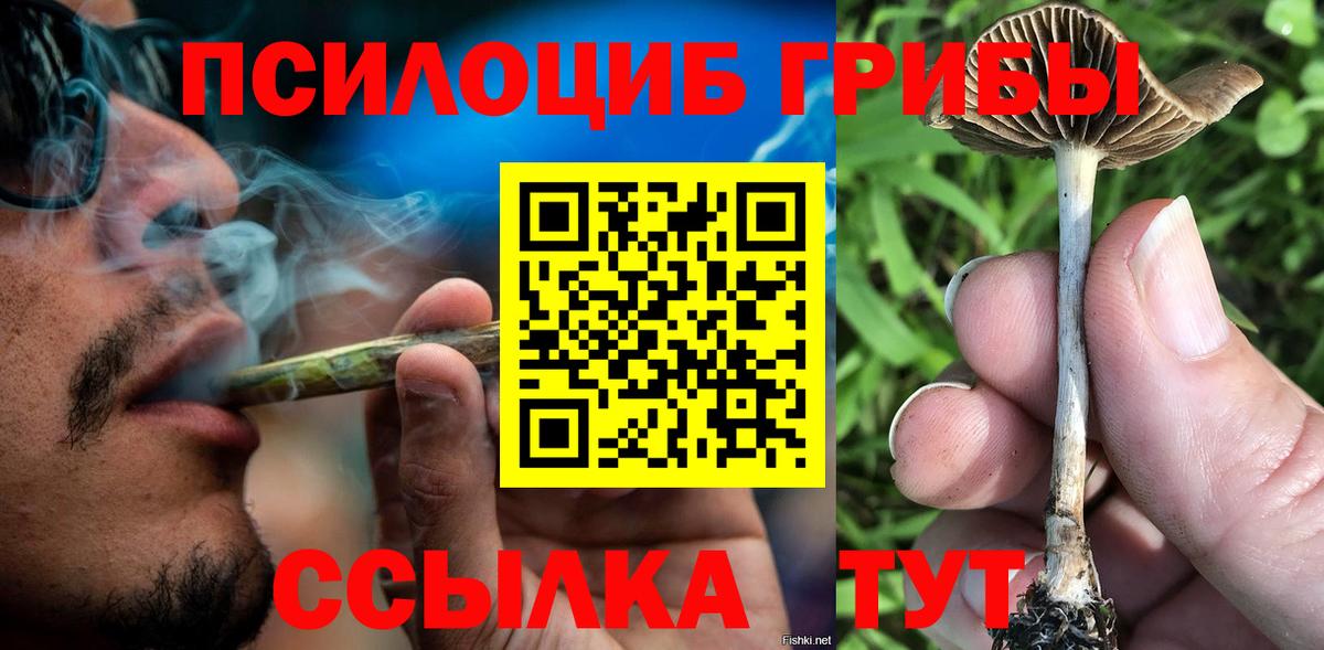 Саранск  Псилоцибиновые грибы ЛСД  дарнет шоп  Вход с VPN 